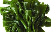 RONG - TẢO